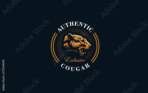 The image of a cougar or panther.