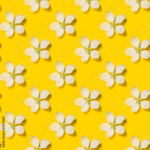 Beautiful spring apple flowers at yellow background. Spring-summer concept.