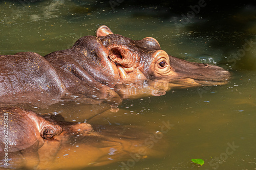 Photography Zoo Kuala Lumpur