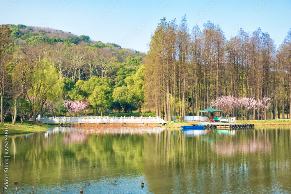 Lake fog with Autumn foliage and mountains with reflection in New England Stowe