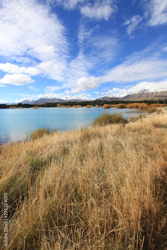dry grass near the lake with mountain and blue sky background