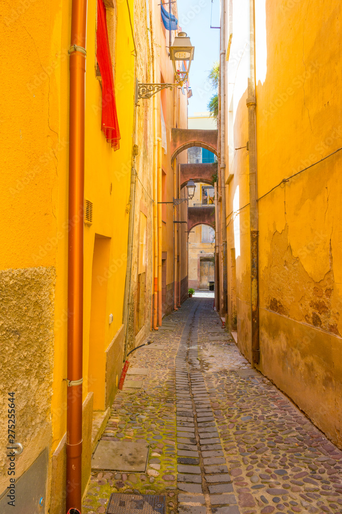 Fototapeta premium Colorful houses in the alleys of the town of Bosa in Sardinia in sunlight in spring