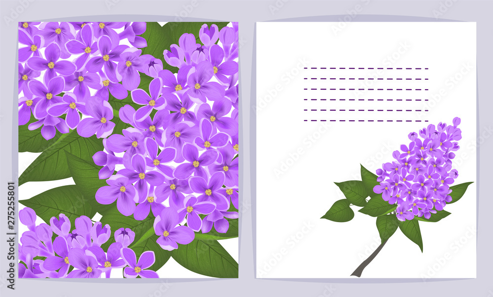 Beautiful background with flowers Lilac and space for text. Vector illustration. EPS 10