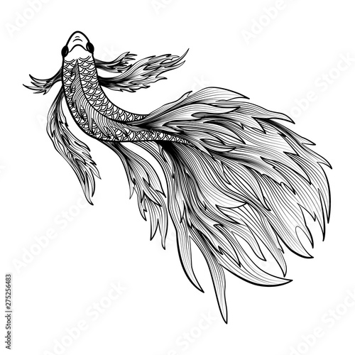 Hand drawn of fish isolated.  Vector illustration. EPS 10