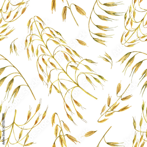Watercolor vector seamless pattern with Oatstraw isolated on white background.