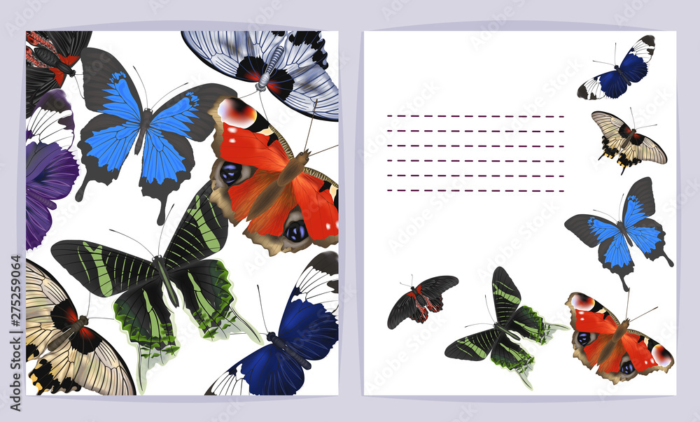 Beautiful background with butterflies and space for text. Vector illustration. EPS 10