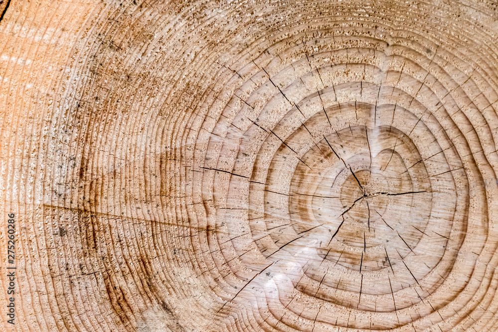 Fototapeta premium 材木