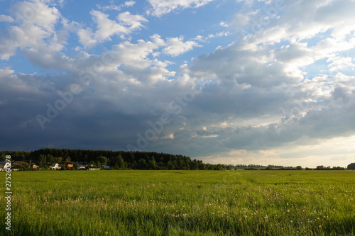 Beautiful landscape. Green field and cloudy sky. Central Russia. Moscow region