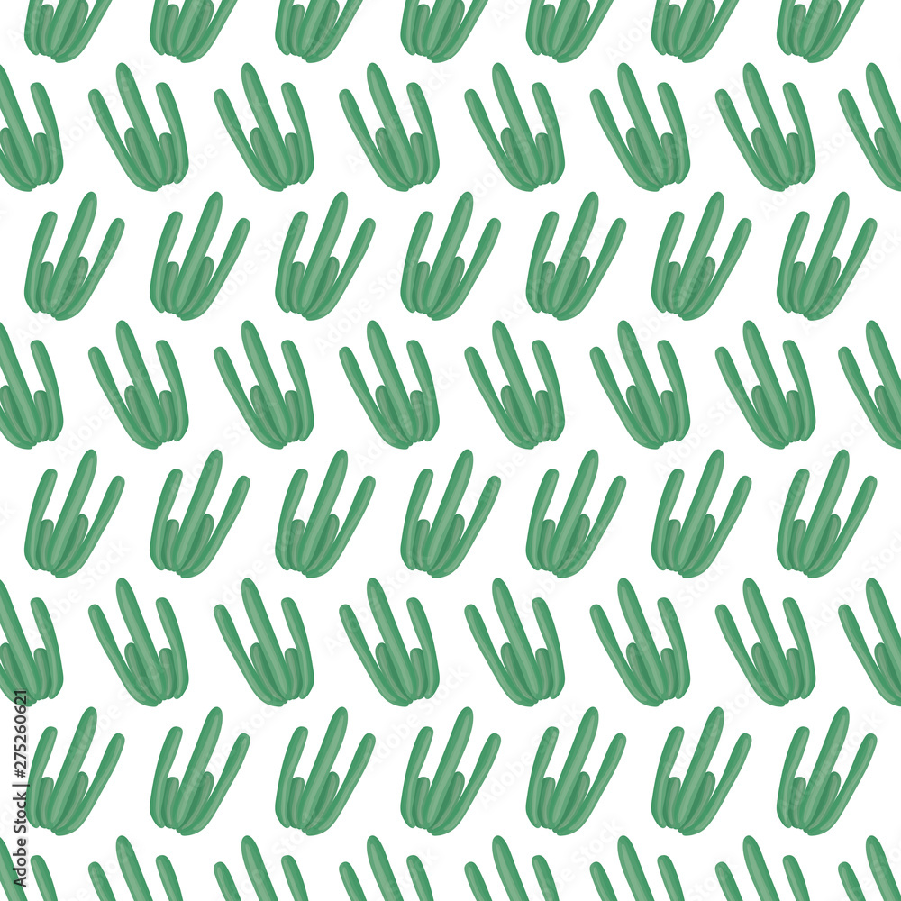 exotics cactus plants natural pattern exotics cactus plants natural pattern