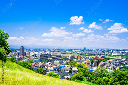 Obraz na płótnie 東京郊外の住宅地 w salonie