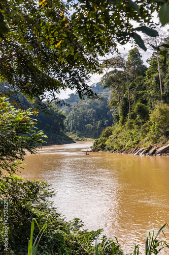 Taman Negara rainforest, Malaysia