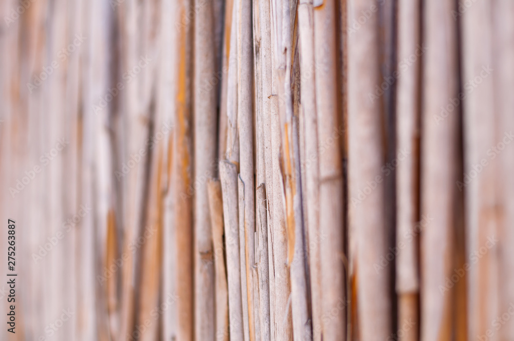 Different perspectives of a reed fence. Different perspectives of a reed fence.