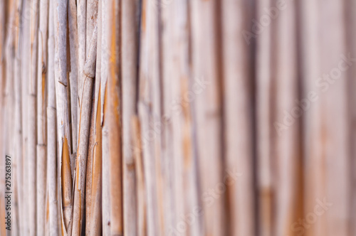 Different perspectives of a reed fence.