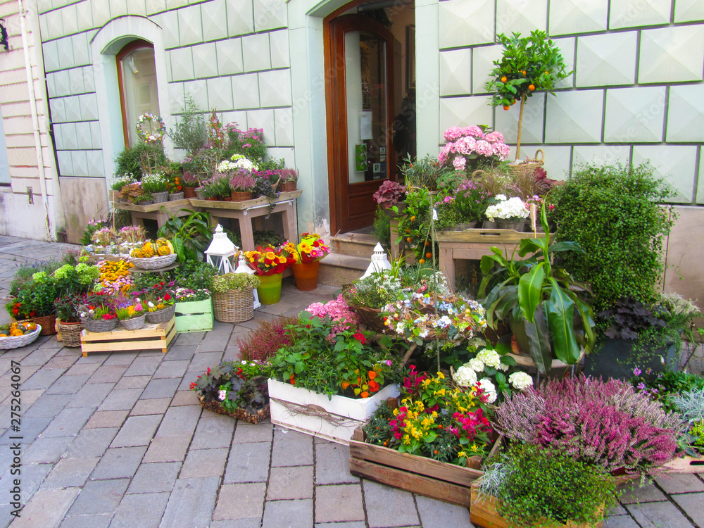 Flower shop. At the entrance are boxes and pots with beautiful flowers