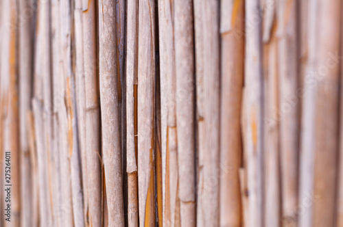 Different perspectives of a reed fence.