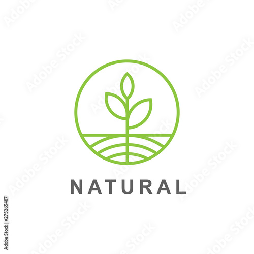 Green leaves and root sprout  logo vector illustration