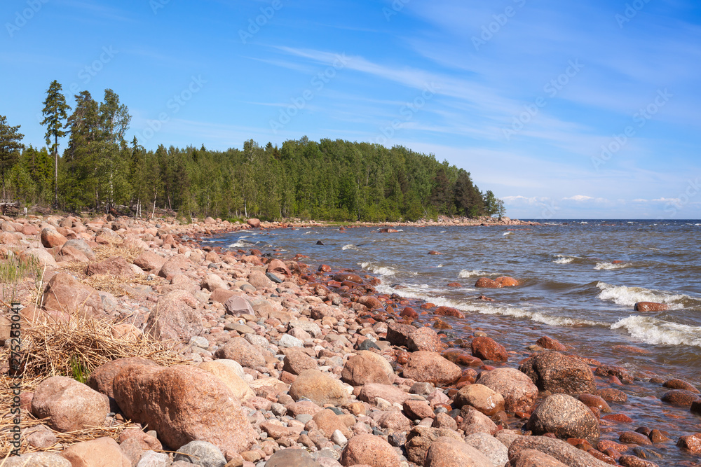 Baltic sea coast at summer day