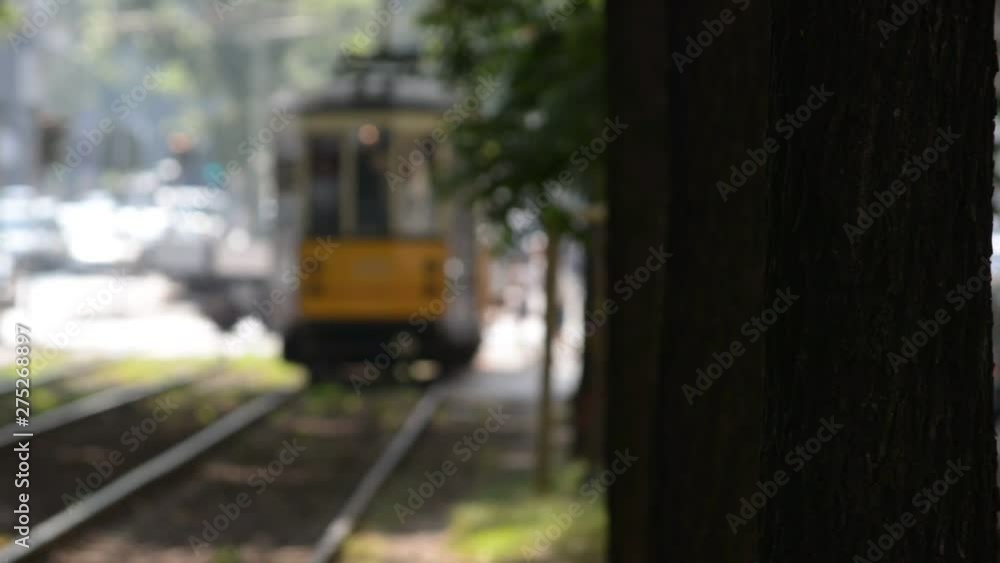 typical Milan tram Arrive through a tree-lined street in the center of Milan typical Milan tram Arrive through a tree-lined street in the center of Milan
