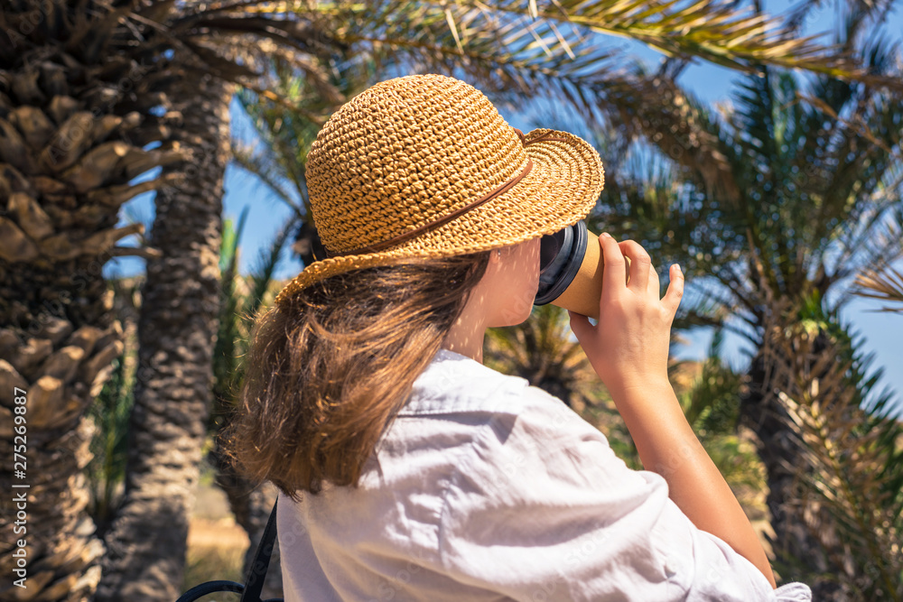 Back view on the Woman in the straw hat with paper cup of coffee walking in the palm forest.