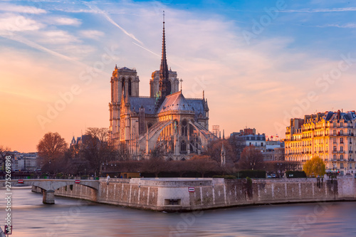 Fototapeta Cathedral of Notre Dame de Paris at sunset, France