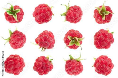 Mini raspberry fruit collection