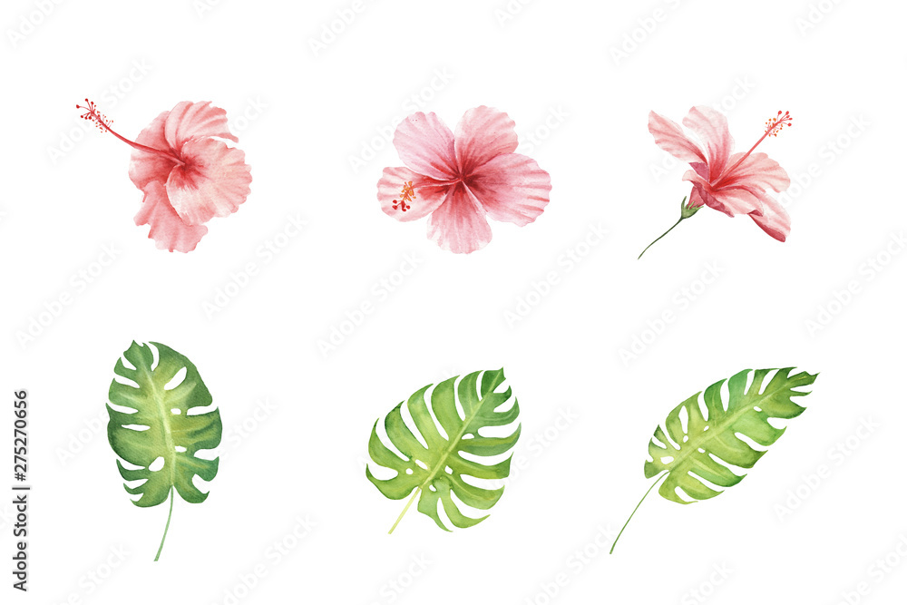 Fototapeta premium hand painted watercolor set of tropical hibiscus flowers and monstera leaves isolated on white background. elements for design, greeting card, invitation