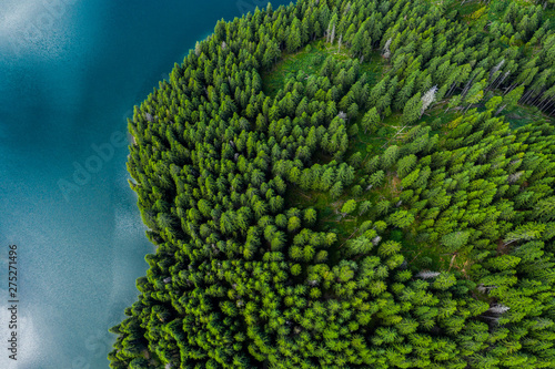 Aerial view of a forest lake. Aerial view of blue lake and green forests on a sunny summer day. Drone photography. Forest and lake border, Toned image from above. Coastline view from the drone. © Epic Vision