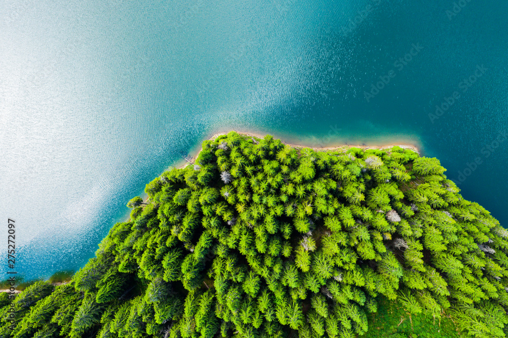 Aerial view of a forest lake. Aerial view of blue lake and green forests on a sunny summer day. Drone photography. Forest and lake border, Toned image from above. Coastline view from the drone.