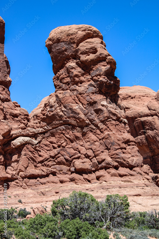 Fototapeta premium natural rock bridge in Bridges national park