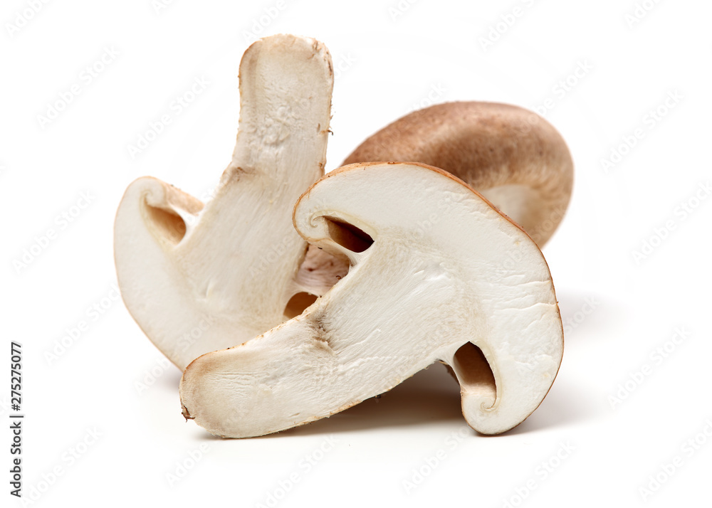Fototapeta premium Shiitake mushroom on the White background 