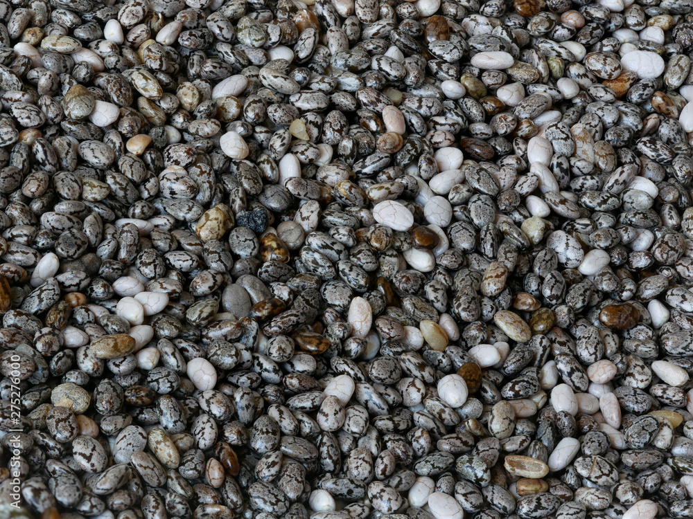Close-up of Chia Seeds, Salvia hispanica, Food Background Close-up of Chia Seeds, Salvia hispanica, Food Background