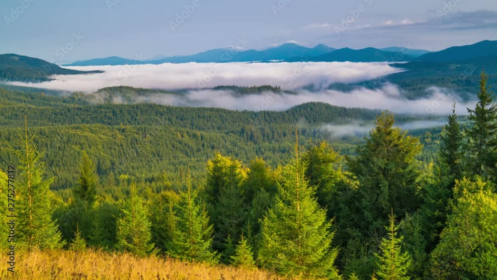 Fantastic Sunrise over the Summer Foggy Mountain Forest on the Background of the Clear Sky. Timelapse. 4K.