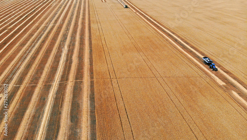 Harvester and tractor in a field harvesting wheat. Aerial view from drone.