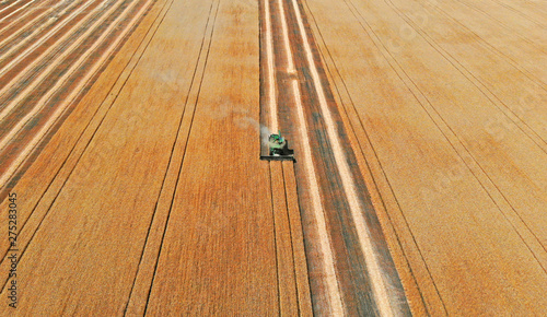 Harvester in a field harvesting wheat. Aerial view from drone.