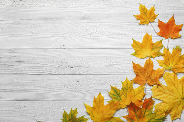 Autumn border with leaves on white wood background.