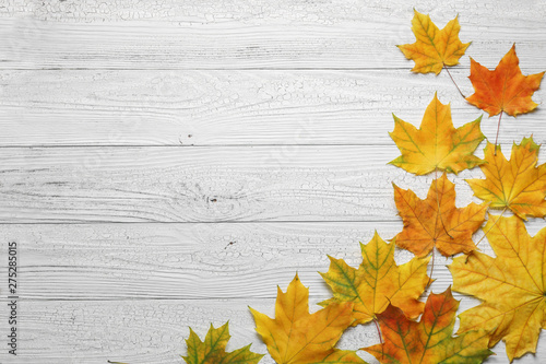 Autumn border with leaves on white wood background.