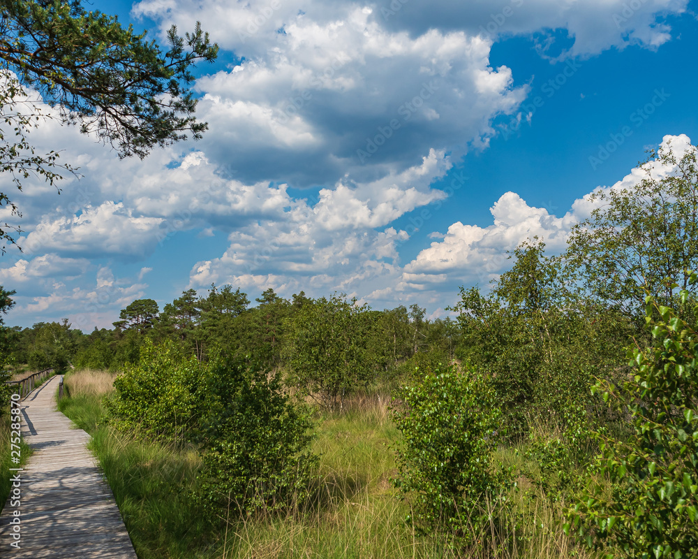 Obraz premium Wandern im Pitzmoor