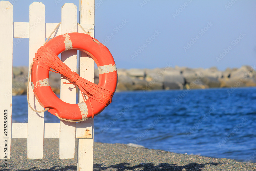 life preserver in front of the sea