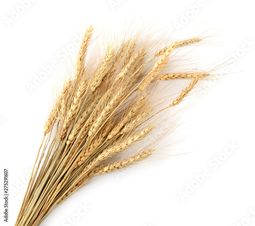 Dry wheat grains branch isolated on white background table top view