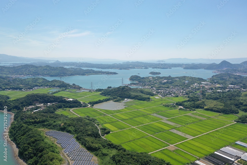 Fototapeta premium It is a rich rural area of a regional city.