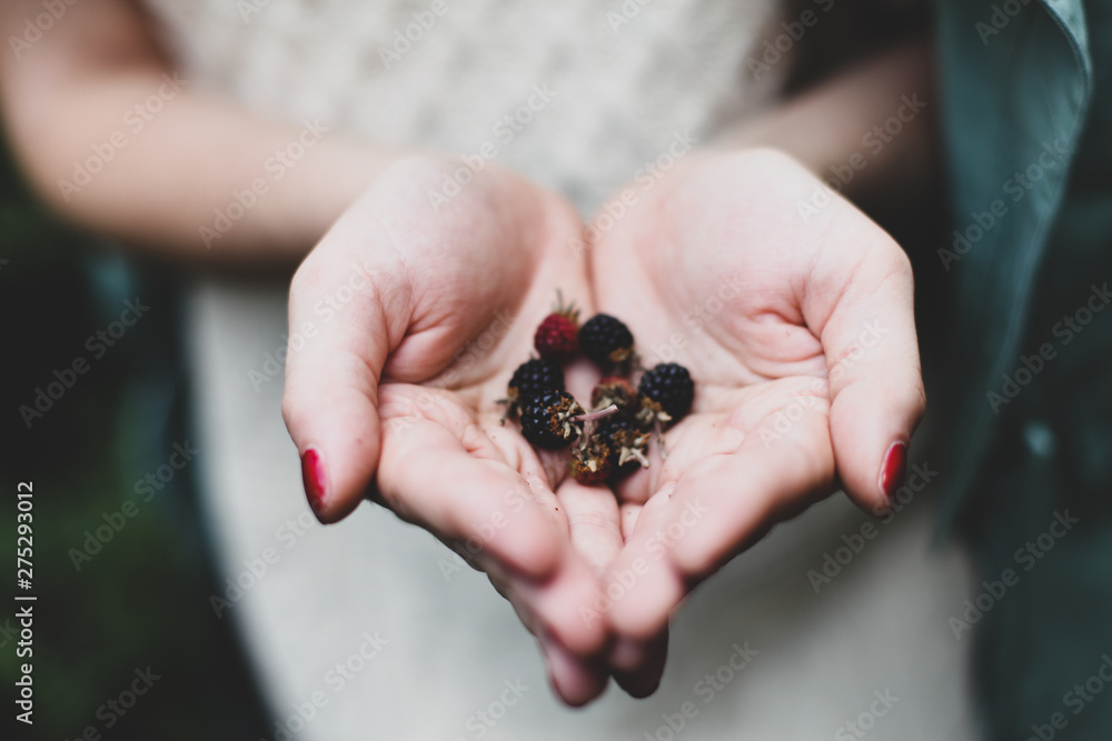 Fototapeta premium Hands with wild berries