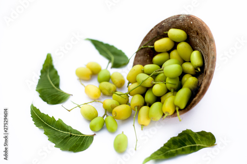 Neem fruit or nim fruit or Indian lilac fruit in a clay bowl isolated on white along with some fresh leaves also.Horizontal shot.