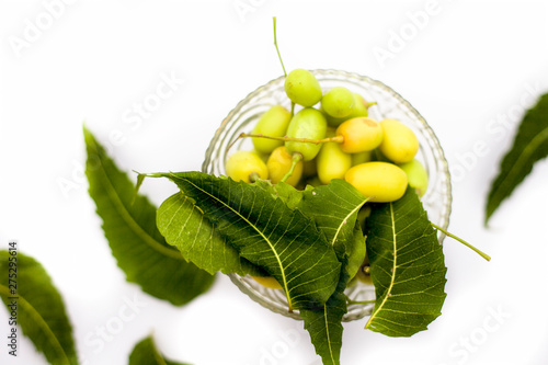 Neem fruit or nim fruit or Indian lilac fruit in a glass bowl isolated on white along with some fresh leaves also. photo