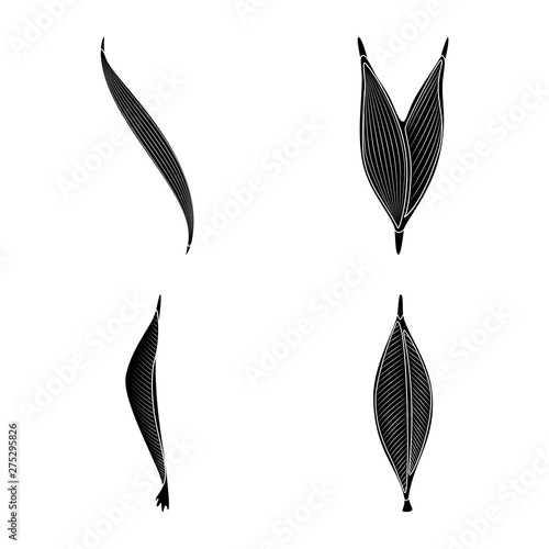 Vector design of human and body sign. Collection of human and cells stock vector illustration.