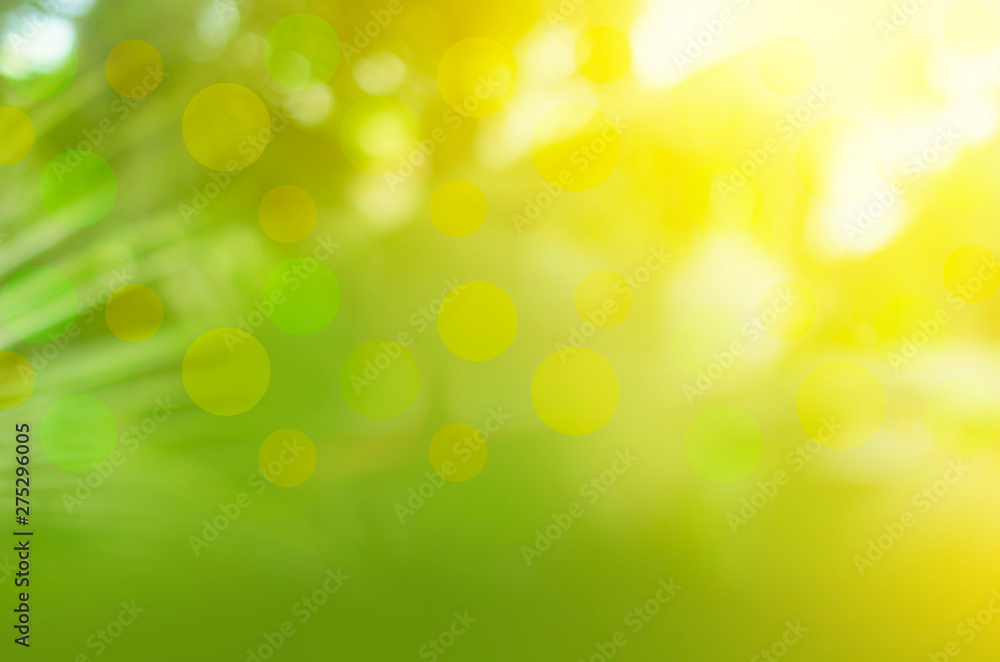 Green Yellow Abstract Background Design  Empty Copy spec Texture