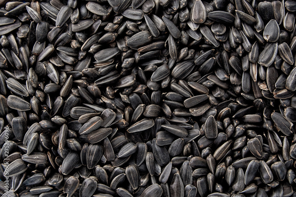 Black sunflower seeds. Black sunflower seeds for texture or background. Black sunflower seeds macro close up Black sunflower seeds. Black sunflower seeds for texture or background. Black sunflower seeds macro close up