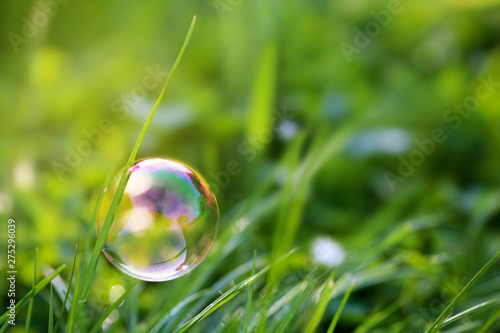 Colorful soap bubble hangs on the blade of grass © Marina Lohrbach