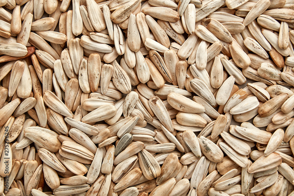White sunflower seeds. White sunflower seeds for texture or background. White sunflower seeds macro close up White sunflower seeds. White sunflower seeds for texture or background. White sunflower seeds macro close up