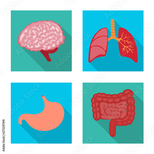 Vector illustration of human and health sign. Collection of human and scientific vector icon for stock.