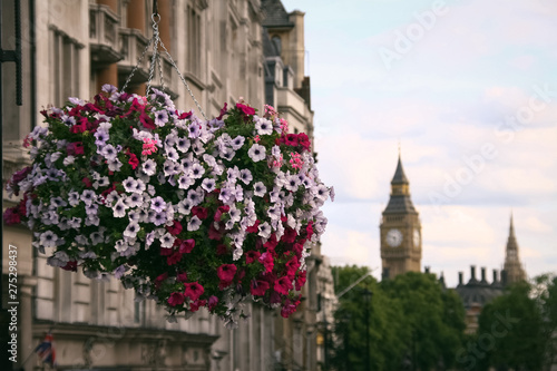 close-up of some flowers in a pot with the big ben in the background